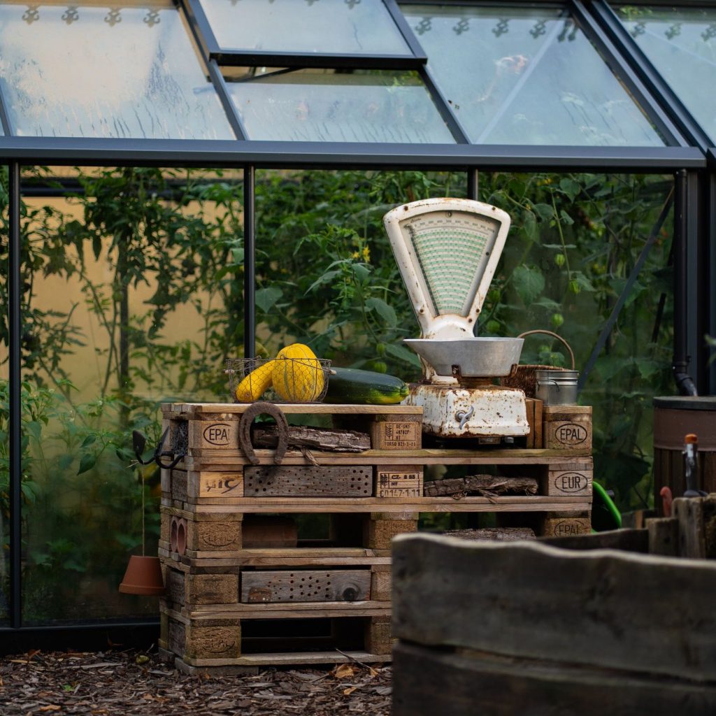 foto van butwhosamy Charming rustic greenhouse with vintage scales and wooden crates, perfect for sustainable gardening enthusiasts.