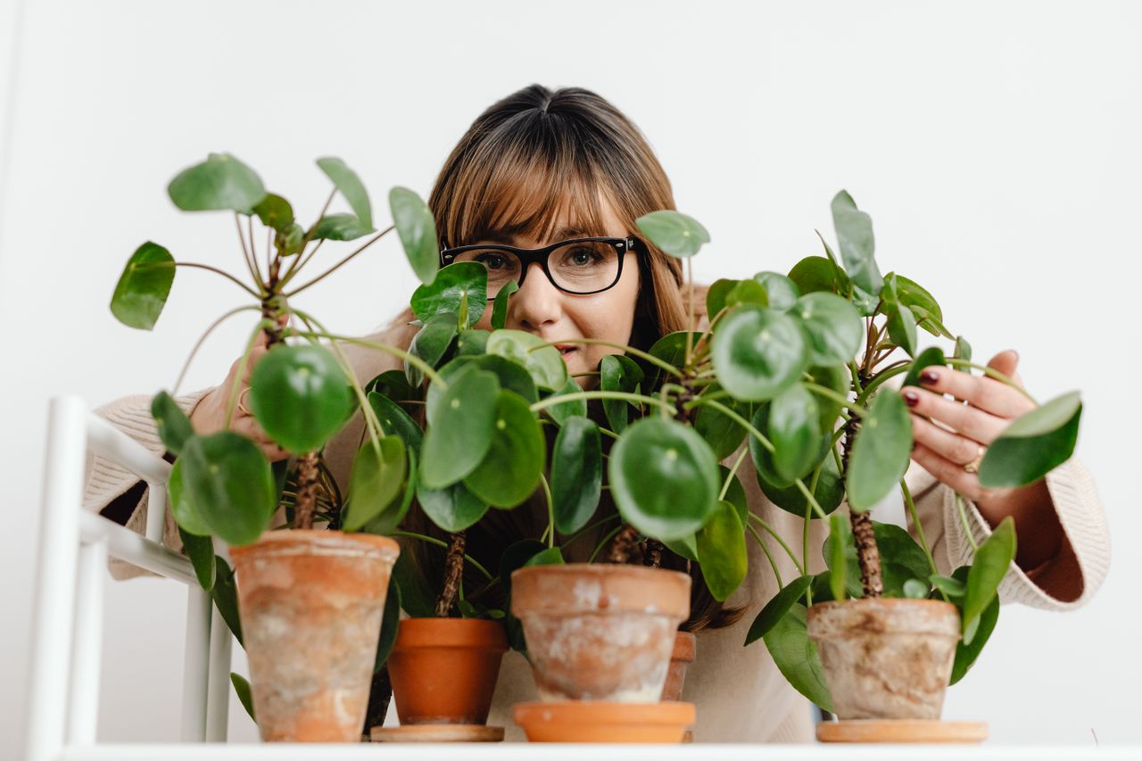 A woman with glasses enjoying her potted houseplants indoors, showcasing a love for gardening.